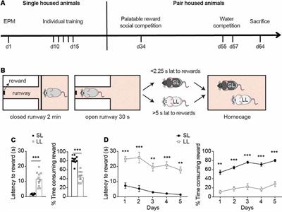Latency to Reward Predicts Social Dominance in Rats: A Causal Role for the Dopaminergic Mesolimbic System